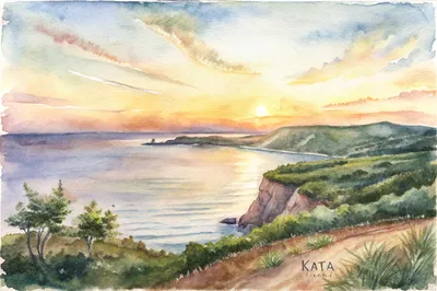 Kata Viewpoint