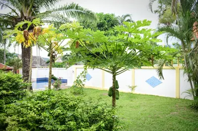 a banana tree in the yard of a house at Shimmer Three-Bedroom Villa with large garden and two swimming pools in Rawai Beach