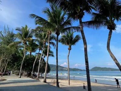 a beach with palm trees and the ocean at Patong Vacation Rentals - Located in the Heart of Patong, Studio Apartments walking distance to the beach, King Bed, Kitchen, Private Bathroom, Seating Area, 65