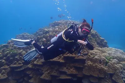 a woman in a diving suit on a coral reef at Ban Raya Resort and Spa in Ko Racha Yai