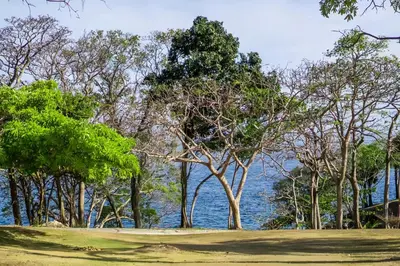 a group of trees in front of the water at Ban Raya Resort and Spa in Ko Racha Yai