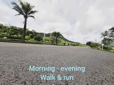 an empty road with a palm tree and the words morning evening walk and run at PPhouse Boutique House Phuket Town in Ban Bang Khu