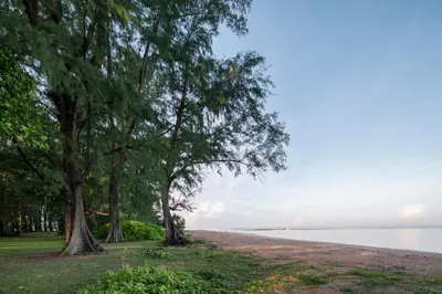 a path next to the water with trees at SD Residence I Naiyang Beach I HKT Airport in Nai Yang Beach