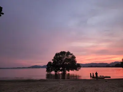 a tree in the middle of the water at sunset at Baan Panwa Resort in Panwa Beach