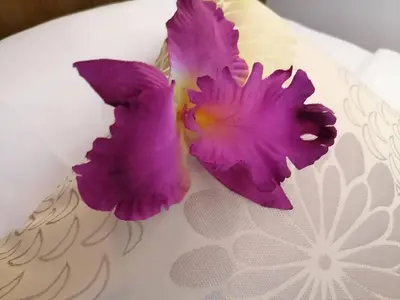a purple flower sitting on top of a white plate at NJ PATONG HOTEL in Patong Beach