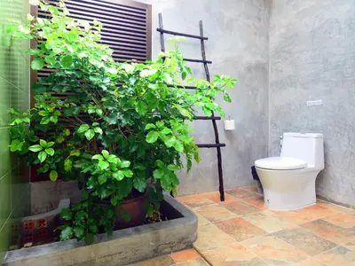 a bathroom with a toilet and a potted plant at Forest Bungalows & Mama's Restaurant in Chalong
