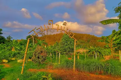 a batting cage in a field with a hill in the background at Greenheart Garden View Camp Phuket in Kata Beach