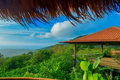 a view from a house in the jungle with a roof at Greenheart Garden View Camp Phuket in Kata Beach