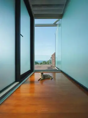 a cat laying on the floor of a room with large windows at Bluepoint SeaView Retreat Patong in Patong Beach