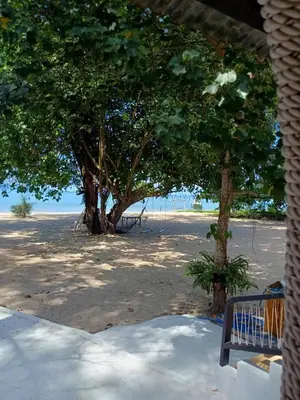 two trees on the beach with a bench at PAN Beachfront Resort Krabi in Klong Muang Beach