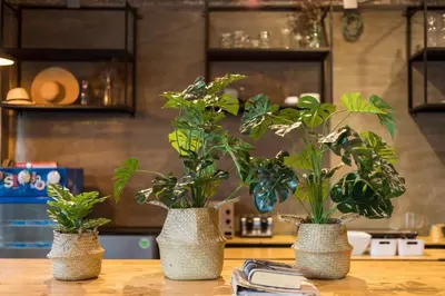 two vases with plants in them sitting on a table at 9BR Neverland Loft Pool Villa in Ban Saiyuan (1)