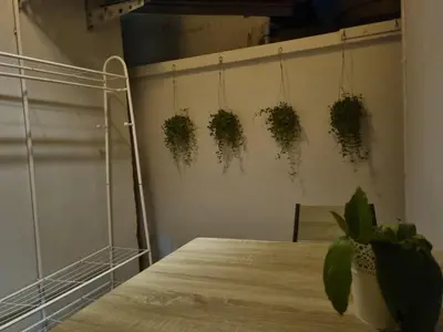 a table with potted plants hanging on a wall at New Breakers Hotel Rawai in Rawai Beach