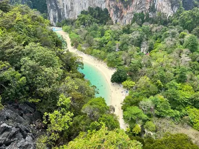 a river in the middle of a forest with a beach at Hangover Aonang in Ao Nang Beach