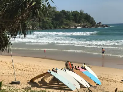 a group of surfboards lined up on a beach at Little Mermaid Guesthouse & Restaurant in Kata Beach