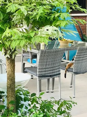 a table and chairs with a cat sitting on it at Guest House, shared pool, private bathroom and kitchen in Phuket Town