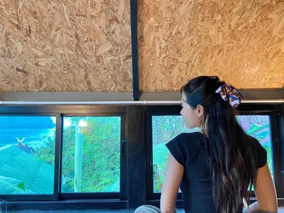 a woman looking out of a window at an aquarium at Phi Phi Goodview Bungalow in Phi Phi Don