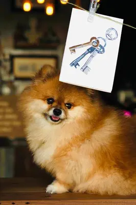a small dog sitting on a table with a sign at W168 hostel in Ban Lo Long