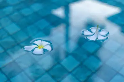two blue and white flowers on a fence at Saitaan,4BR seaside garden pool villa, Laguna area in Bang Tao Beach