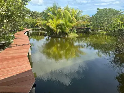 a river with palm trees and a wooden bridge at The Beatles Lagoon in Ban Na Bon