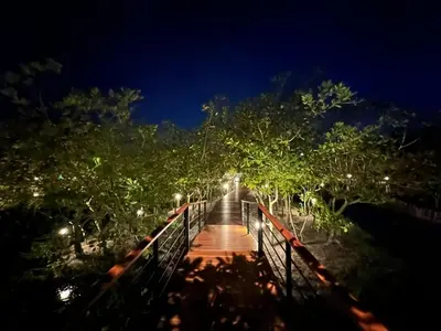 a wooden bridge with trees and lights at night at The Beatles Lagoon in Ban Na Bon