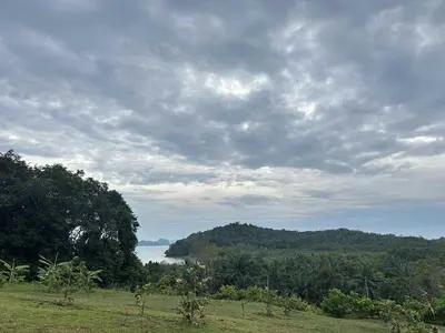 a field with a view of the water and trees at Baansuanpiyanan in Ban Bang Chak
