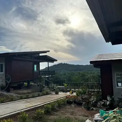 Baansuanpiyanan