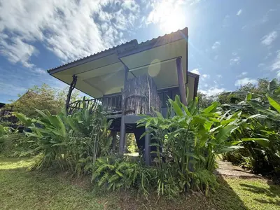 a house in the middle of some plants at Phu Samut in Ban Ba Kan Pa