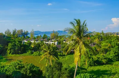a couple of palm trees in a field at Aristo 2 Apartments by Beringela in Surin Beach
