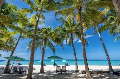 a group of palm trees on a beach with chairs and umbrellas at Tropics Kamala Hill View Suite CTG P614, near Beach and Fantasea in Kamala Beach