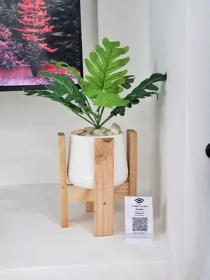 a plant in a white pot on a wooden chair at Villa Coco - Tropical Paradise with Private Pool in Thalang