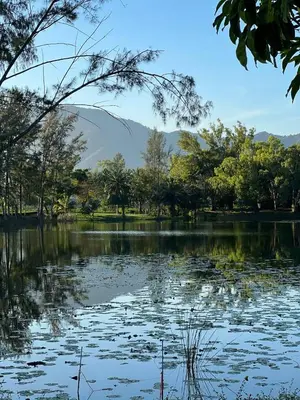 a lake with trees and mountains in the background at Modern 2-bedroom Apartments. Skypark Laguna (Bang Tao) in Bang Tao Beach