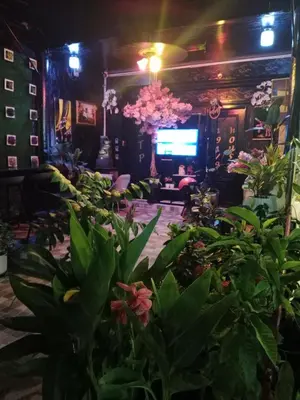 a room filled with lots of plants at STP apartment 2rd floor in Patong Beach