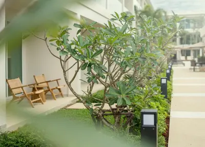 a small tree sitting next to a building at Niranapa Boutique Resort in Kata Beach