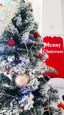 a christmas tree with snow on it with a merry christmas sign at Airhub Hostel Phuket Airport in Nai Yang Beach