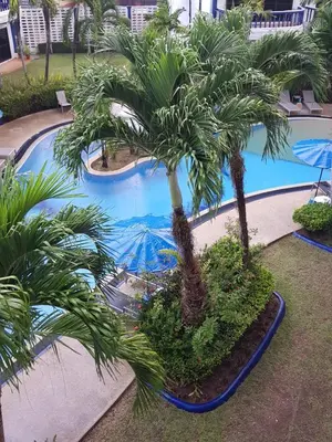a couple of palm trees next to a swimming pool at Homely with pool near the beach in Kamala Phuket in Kamala Beach