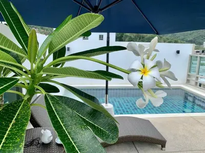 a plant sitting next to a pool with an umbrella at The Regent Kamala Penthouse with private pool in Kamala Beach