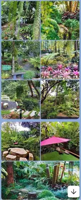 a collage of photos of a park with flowers at Bangnu Greenery Resort in Takua Thung