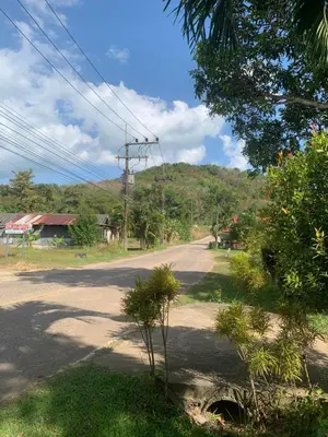 an empty road in a village with a tree at Baan Ja Da in Ban Nai Khlong