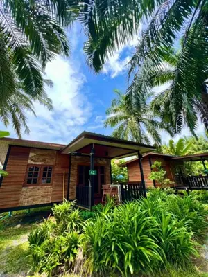 a wooden house with palm trees in front of it at Lay Back Villa Wooden House AC Hot shower High Speed Internet in Krabi town