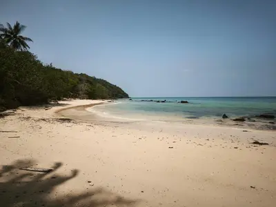 a beach with a palm tree and the ocean at The Secret Garden Koh Yao Yai in Ko Yao Yai