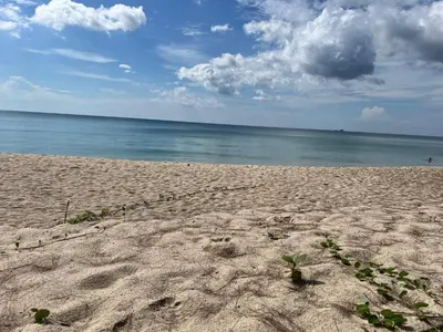 a sandy beach with the ocean in the background at Stylish 1 Bedroom Apartment with Golf View, Steps from Bang Tao Beach, Allamanda Laguna in Bang Tao Beach