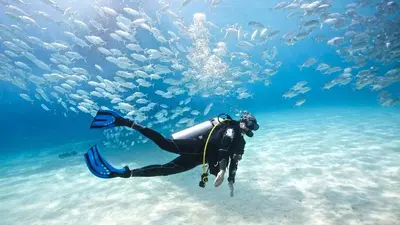 a person in the water with a group of fish at Seaside Haven Karon in Karon Beach