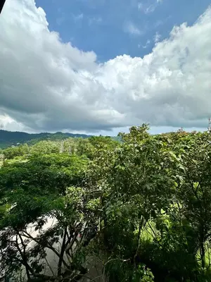a group of trees with a blue sky and clouds at Stylish apartments Kamala CityGate in Kamala Beach