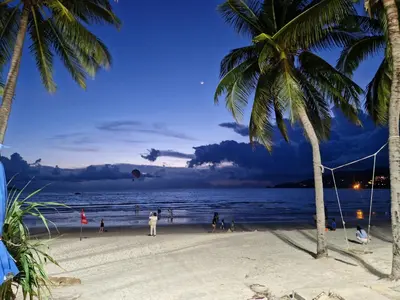 a beach with palm trees and people flying a kite at Bonanza Patong Beach1 100m to Beach Sun Room in Patong Beach