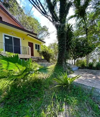 a palm tree in front of a house at Villa Patong in Ban Na Nai