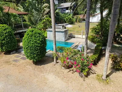 a backyard with a swimming pool and some plants at Natures relax in Kamala Beach
