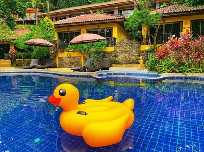 a yellow rubber duck sitting in a swimming pool at beautiful pool house in Patong Beach