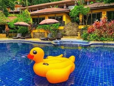 a yellow rubber duck sitting in a swimming pool at patong beautiful pool villa in Patong Beach