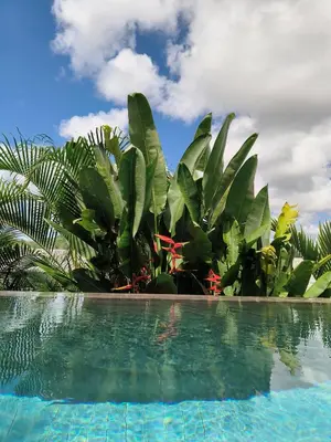 a pool in front of a bunch of plants at Sky Lofts Phuket 2 in Thalang