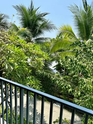 a fence next to some trees and palm trees at G15 ВАТСАП669З5В2I976 оплата РУБЛИ in Nai Yang Beach